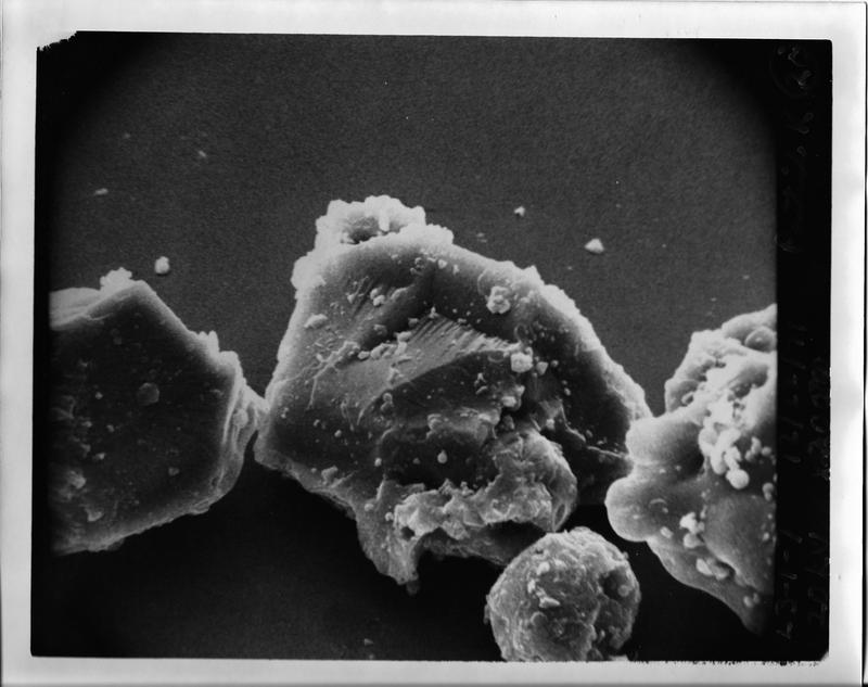 A sample picture of lunar fine particles